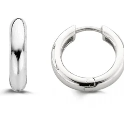 Ti Sento Boucles d'oreille Silver 7210SI | Femme Boucles D'Oreilles