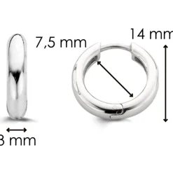 Ti Sento Boucles d'oreille Silver 7210SI | Femme Boucles D'Oreilles