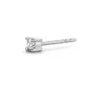 Ti Sento Boucles d'oreilles 7835ZI-H - Argent | Femme Boucles D'Oreilles