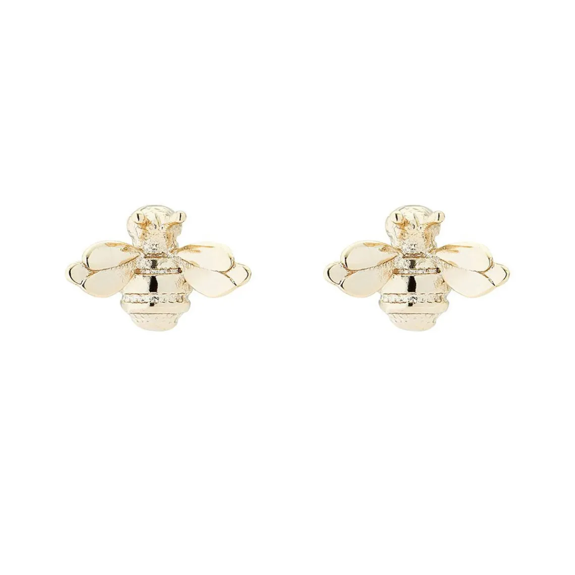 Ted Baker Boucles oreilles TBJ1848-32-03 - Doré | Femme Boucles D'Oreilles