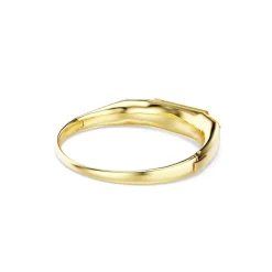 Swarovski Bijoux Bracelet Femme Swarovski Lucent - 5708778 Plaqué Or Jaune | Femme Bracelet