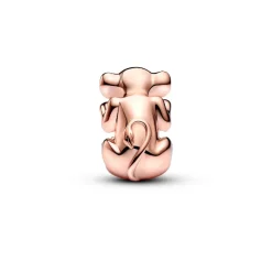 Pandora Charm Disney Le Roi Lion Nala | Femme Charms