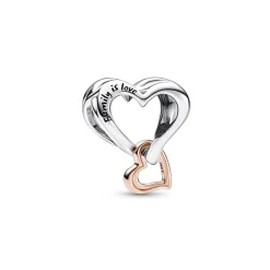 Pandora Charm Moments - Cœur de l’Infini Ajouré Bimatière | Femme Charms