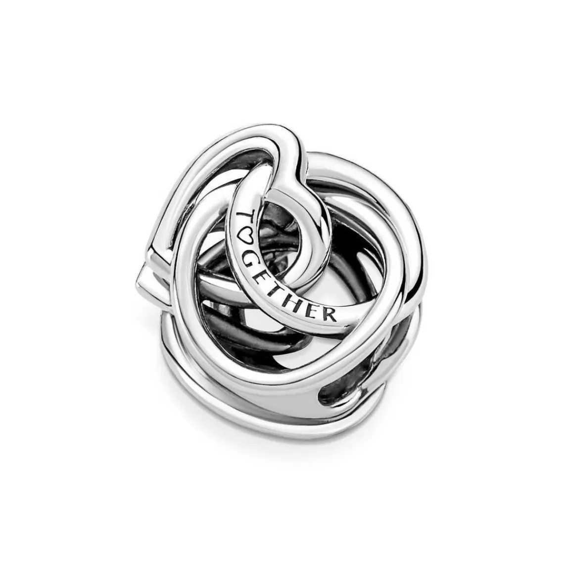 Pandora Charm Moments - Cœur et Cercles Ma Famille pour Toujours | Femme Charms