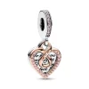 Pandora Charm Moments - Pendant Double Cœur de l’Infini Bimatière | Femme Charms