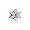 Pandora Charm Timeless - Herbier Scintillant | Femme Charms