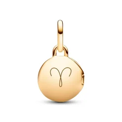 Pandora Charm Pendant Médaillon Amour Ouvrable et Gravable Doré | Femme Charms
