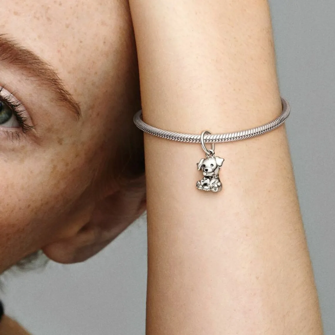 Pandora Charm Pendant Moments Chiot Labrador | Femme Charms