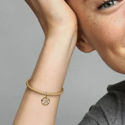 Pandora Charm Pendant Signe du Lion | Femme Charms
