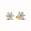 Pandora Clous d’Oreilles Herbier Scintillant | Femme Boucles D'Oreilles