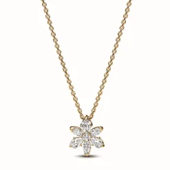Pandora Collier avec Pendentif Herbier Scintillant | Femme Collier Et Pendentif