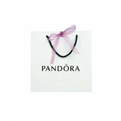 Pandora Collier chaîne Moments classique | Femme Collier Et Pendentif