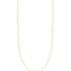 Ti Sento Collier et pendentif 3849PW-42 - Collier et pendentif Perle Blanche Femme | Femme Collier Et Pendentif