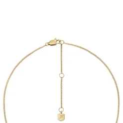 Fossil Bijoux Collier Femme Signes du Zodiaque Capricorne - JF04847710 Acier inoxydable | Femme Collier Et Pendentif