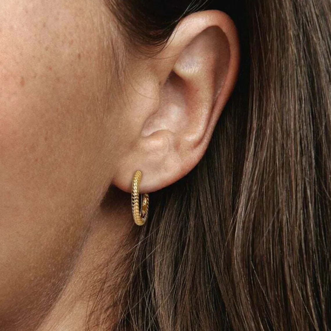 Pandora Petites Créoles à Charms Moments | Femme Boucles D'Oreilles